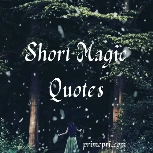 Funny Magic Quotes