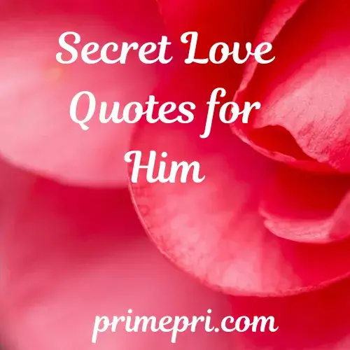 Secret Love Quotes for Him