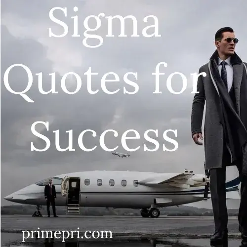 Sigma Quotes for Success
