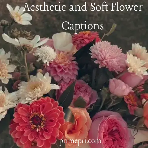 Aesthetic and Soft Flower Captions
