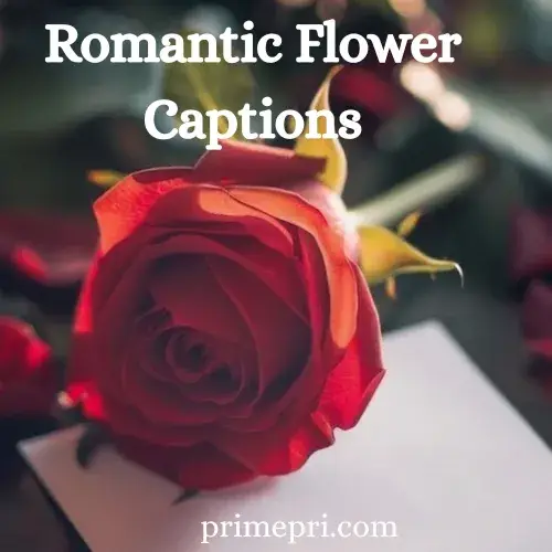 Romantic Flower Captions